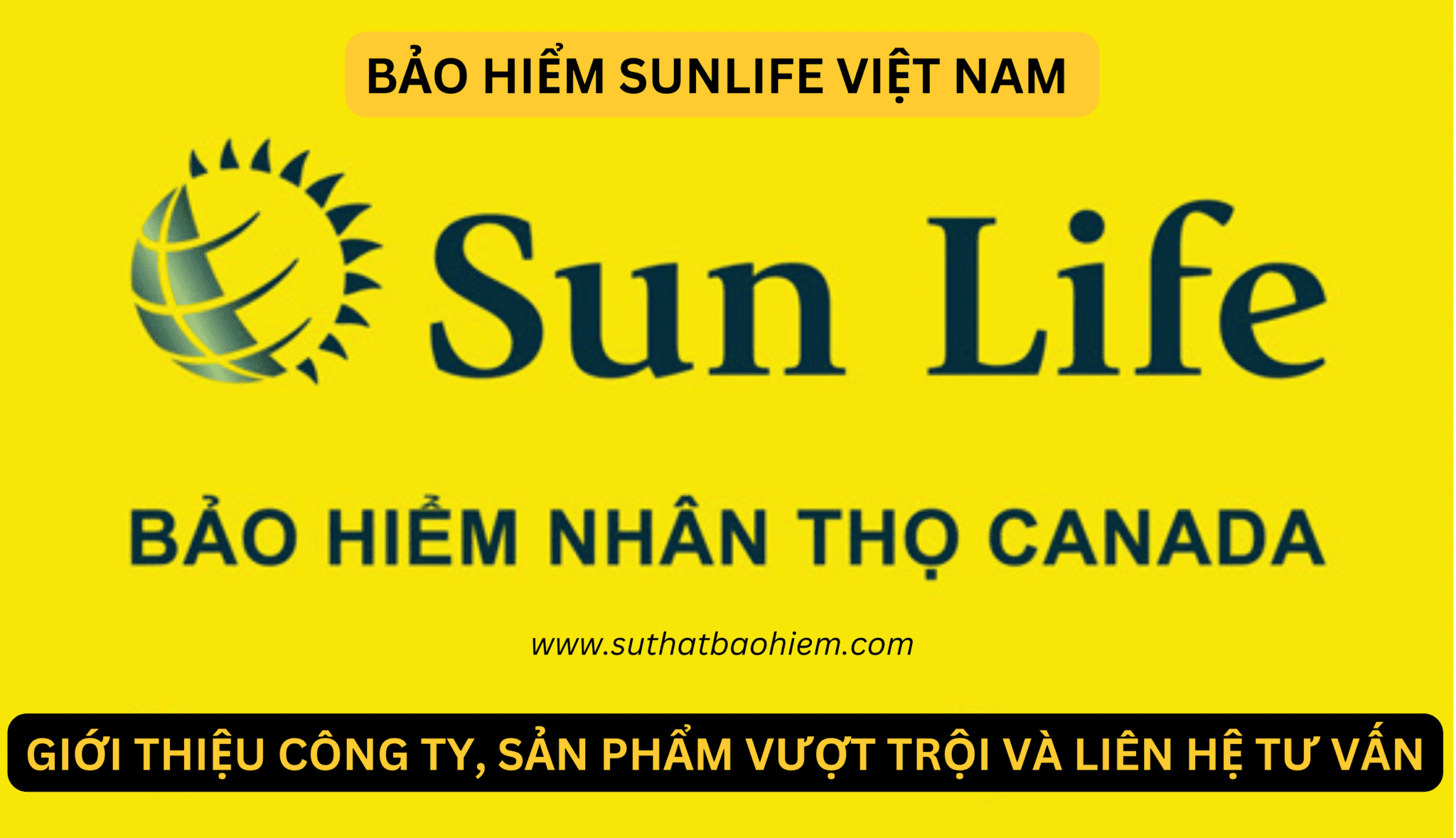 lĩnh vực hoạt động